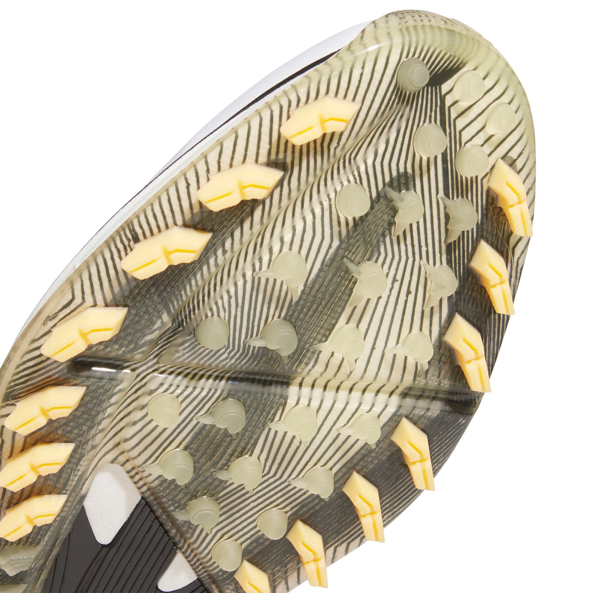 Adidas Zapato de golf Adizero Blanco Gold