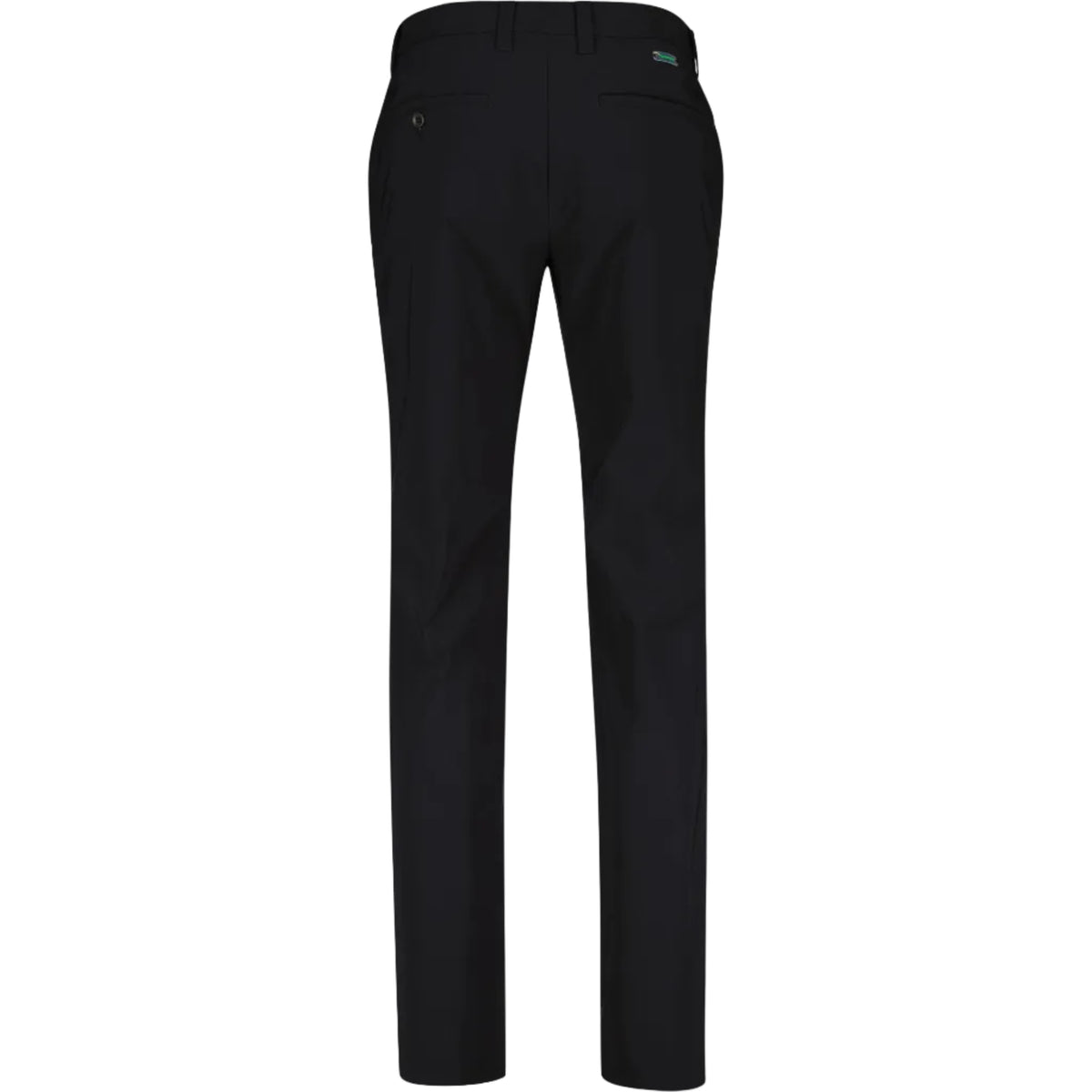 ALBERTO ROOKIE WR Revolutionnal