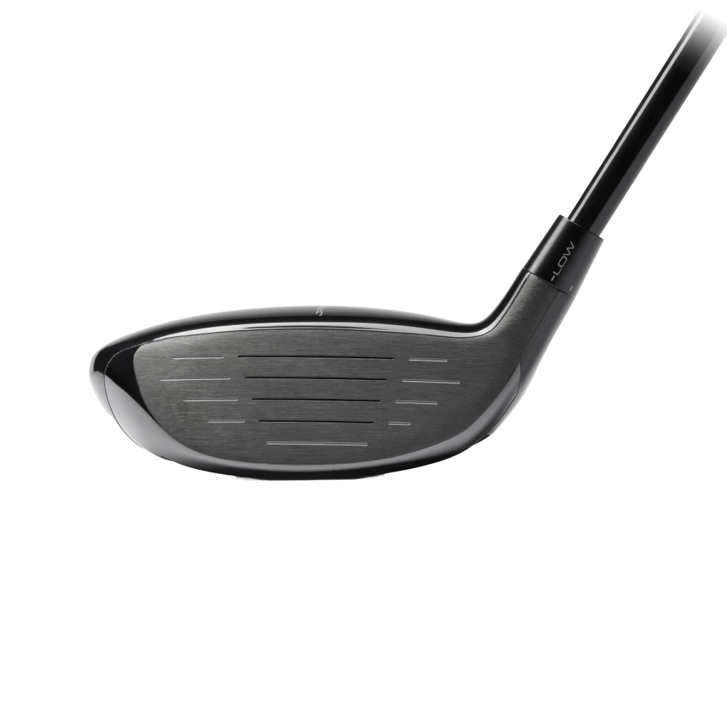 Mizuno Bois de parcours JPX ONE