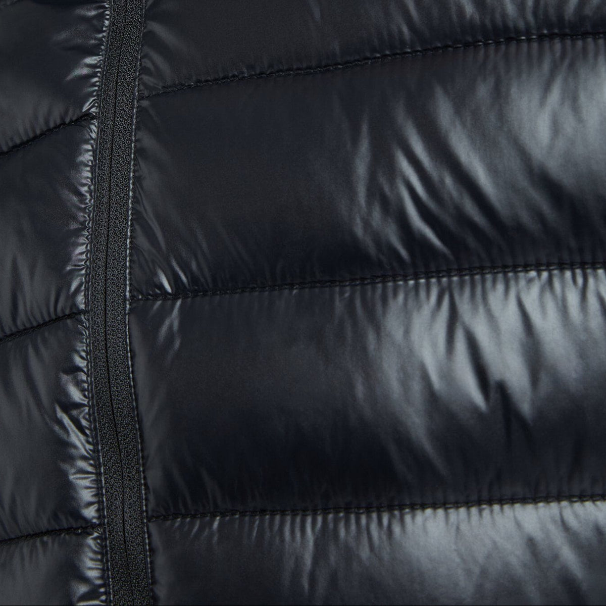 Rohnisch Plumífero Airlite Padded Negro