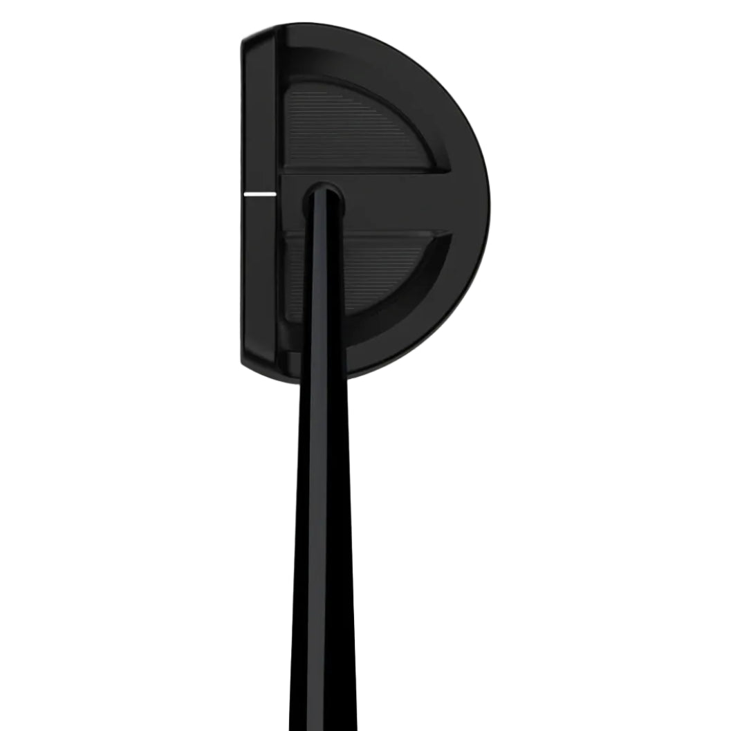 Wilson Putter Infinite ZT Lakeview