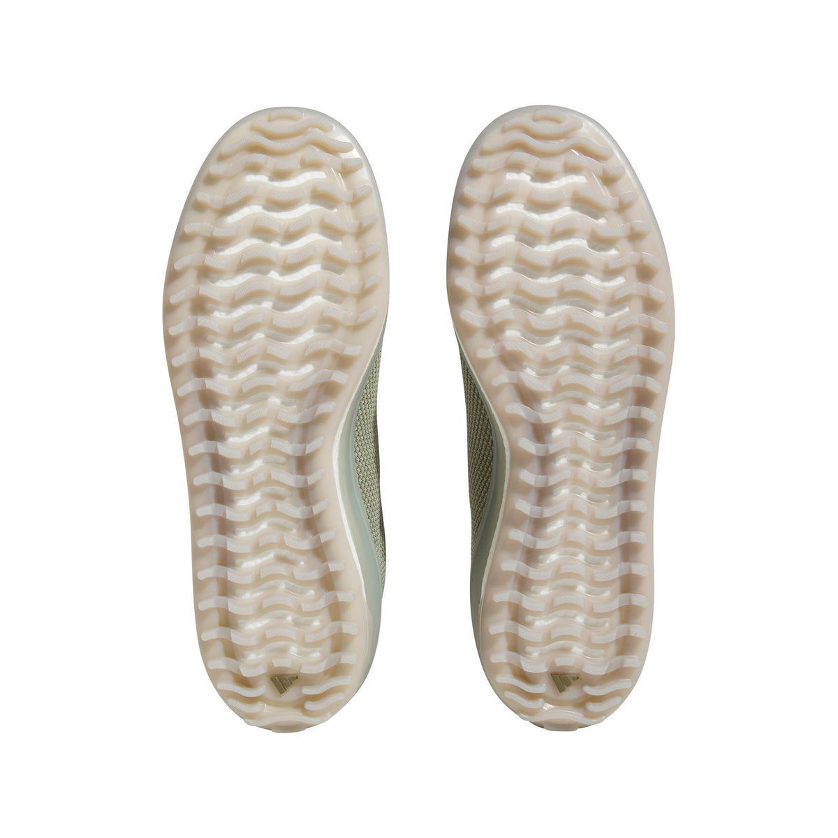 Adidas Zapato de golf GO TO SPKL 1